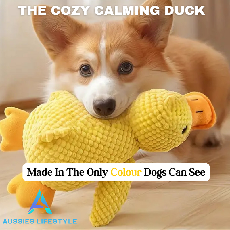 The Cozy Calming Duck