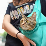 The PurrFect Cat Carrier