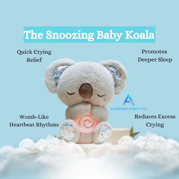 Snoozing Baby Koala